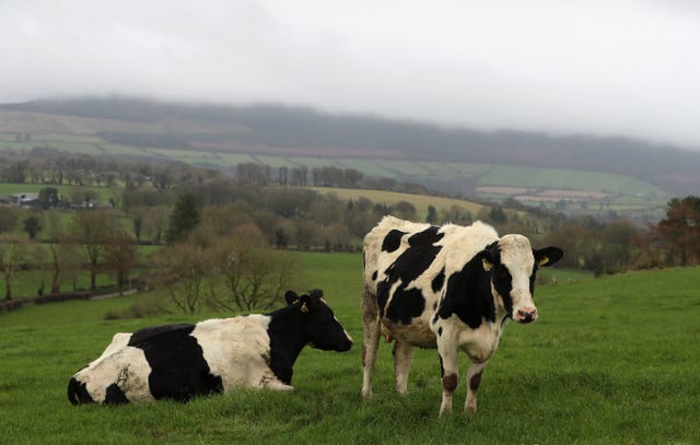 Haydens Baileys Farm in Co. Wicklow