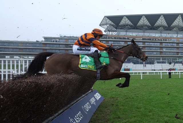 Terresita en route to Ascot victory