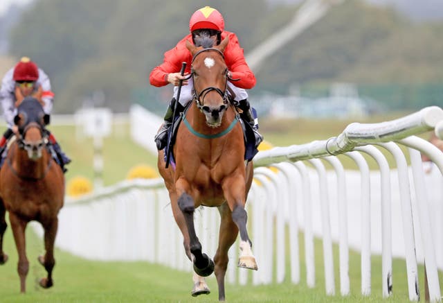 Highfield Princess was hugely impressive at the Curragh 