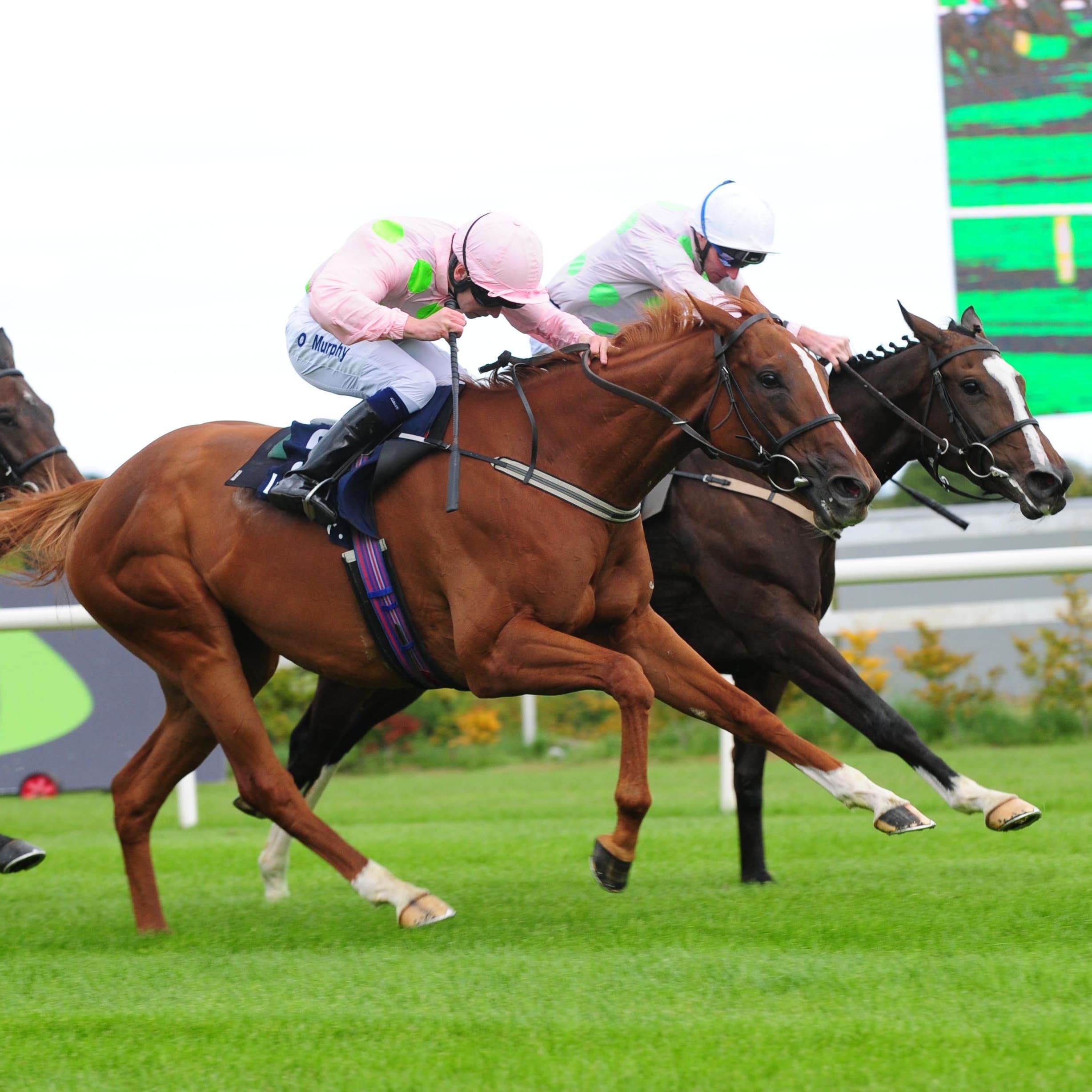 Limini (centre) lands the spoils at Leopardstown