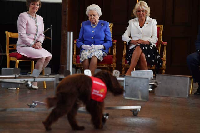 The Queen and the Duchess of Cornwall attend the Medical Detection Dogs charity’s 10th anniversary celebration (Ben Stansall/PA)