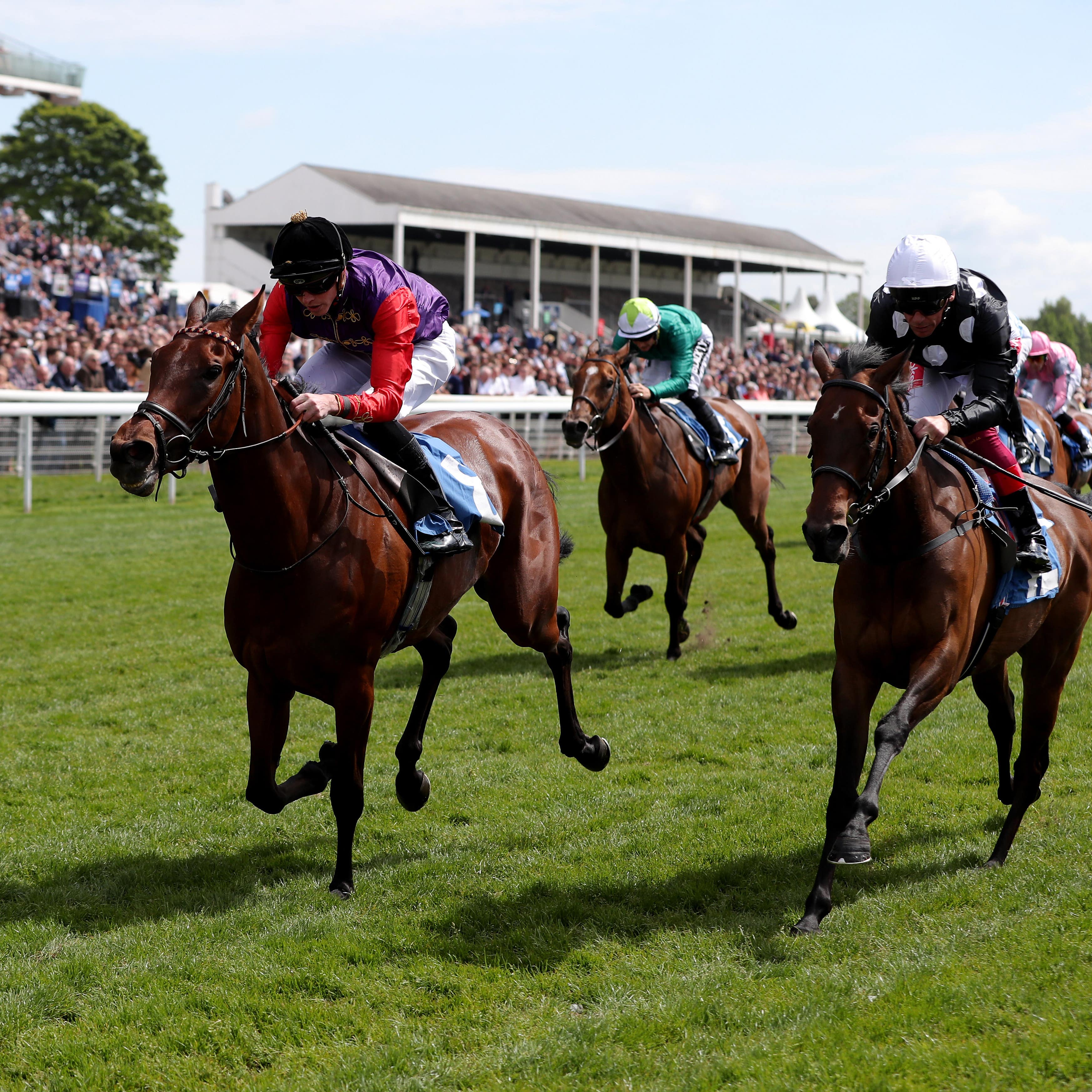 Magnetic charm holds off Twist 'N' Shake to win at York