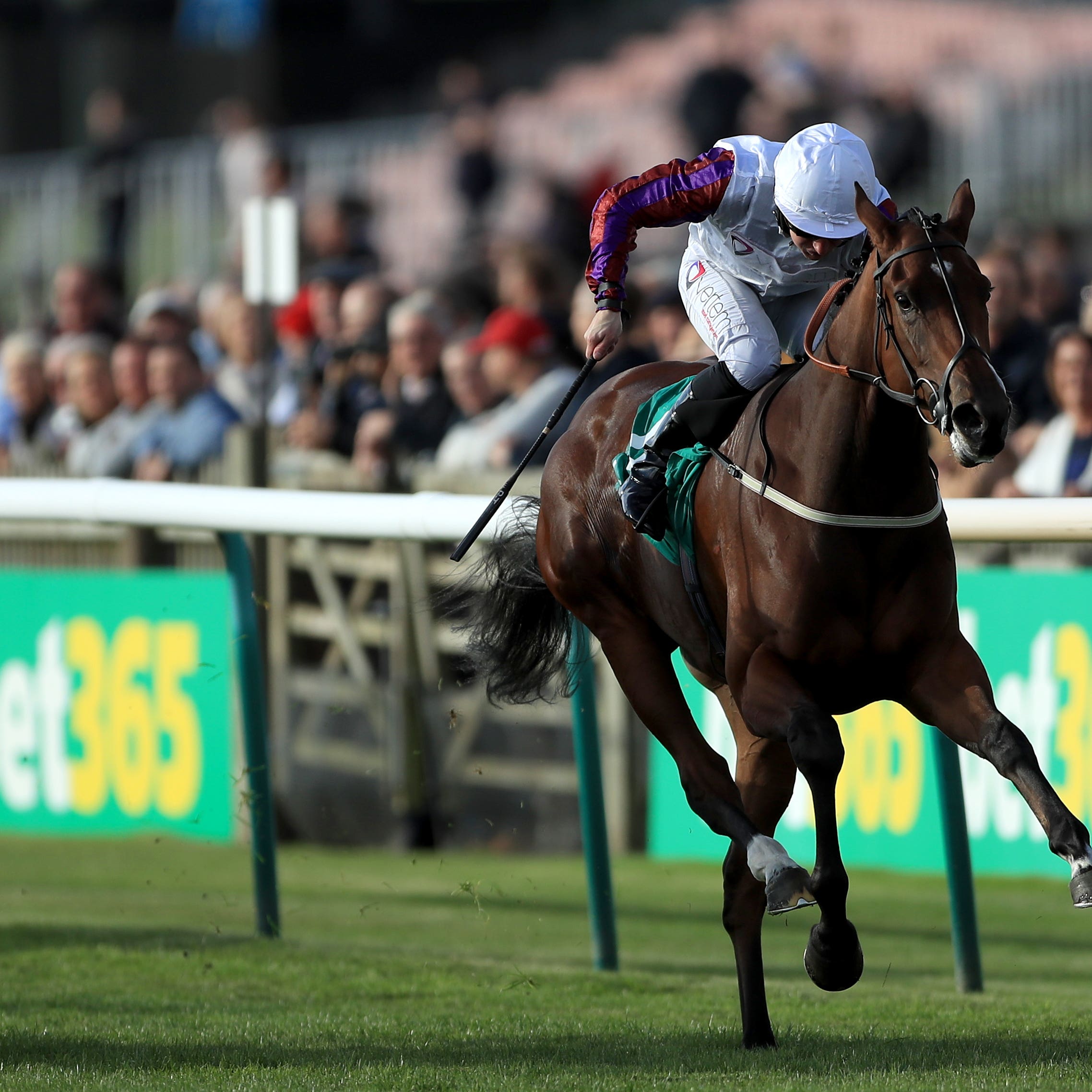 Laurens won her third Group One at the weekend
