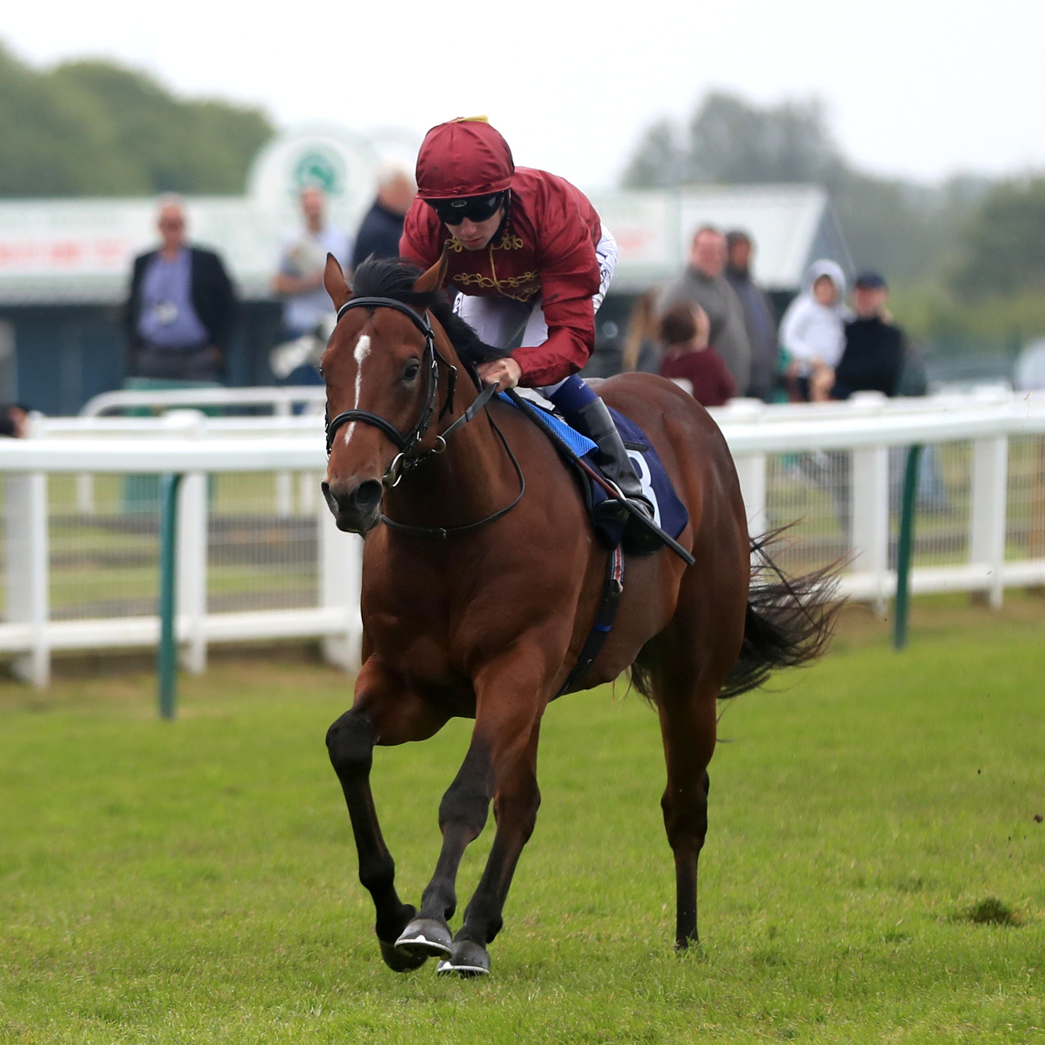 Legends Of War has the July Stakes as a target