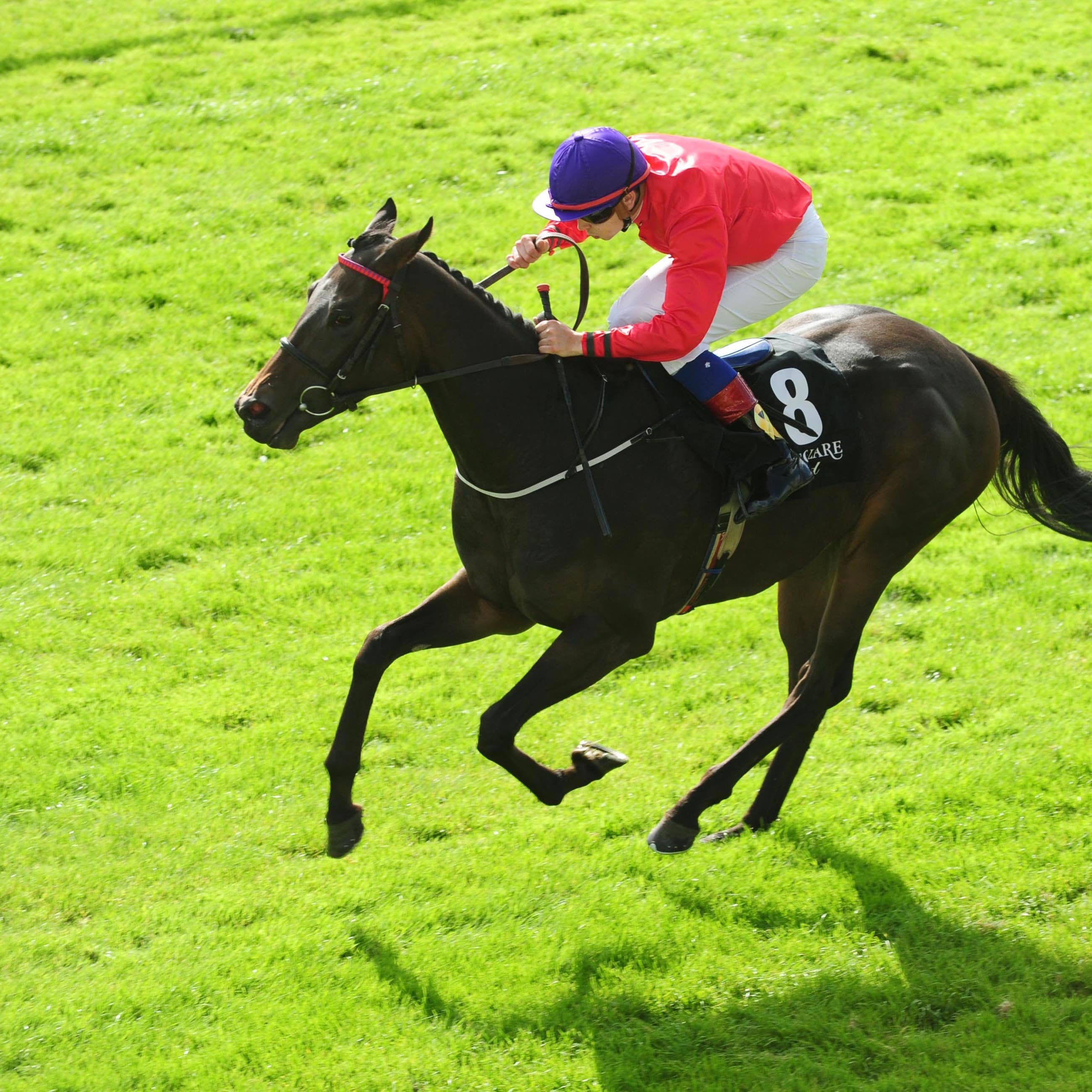 Skitter Scatter comes home clear in the Moyglare Stud Stakes