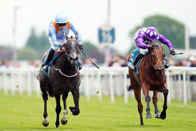 Got To Love A Grey (left) winning the Marygate 