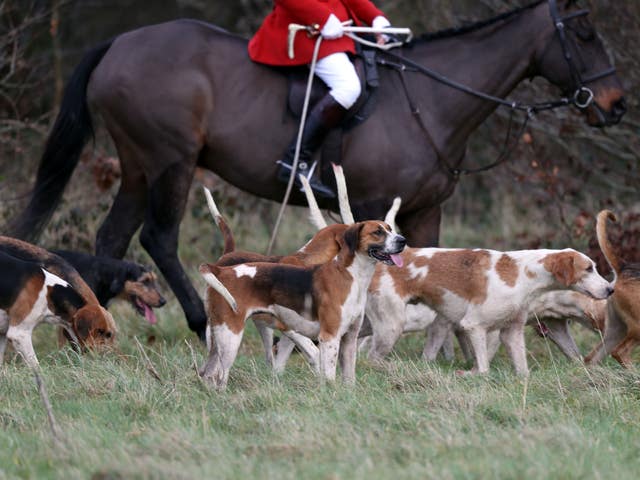 Boxing Day hunts