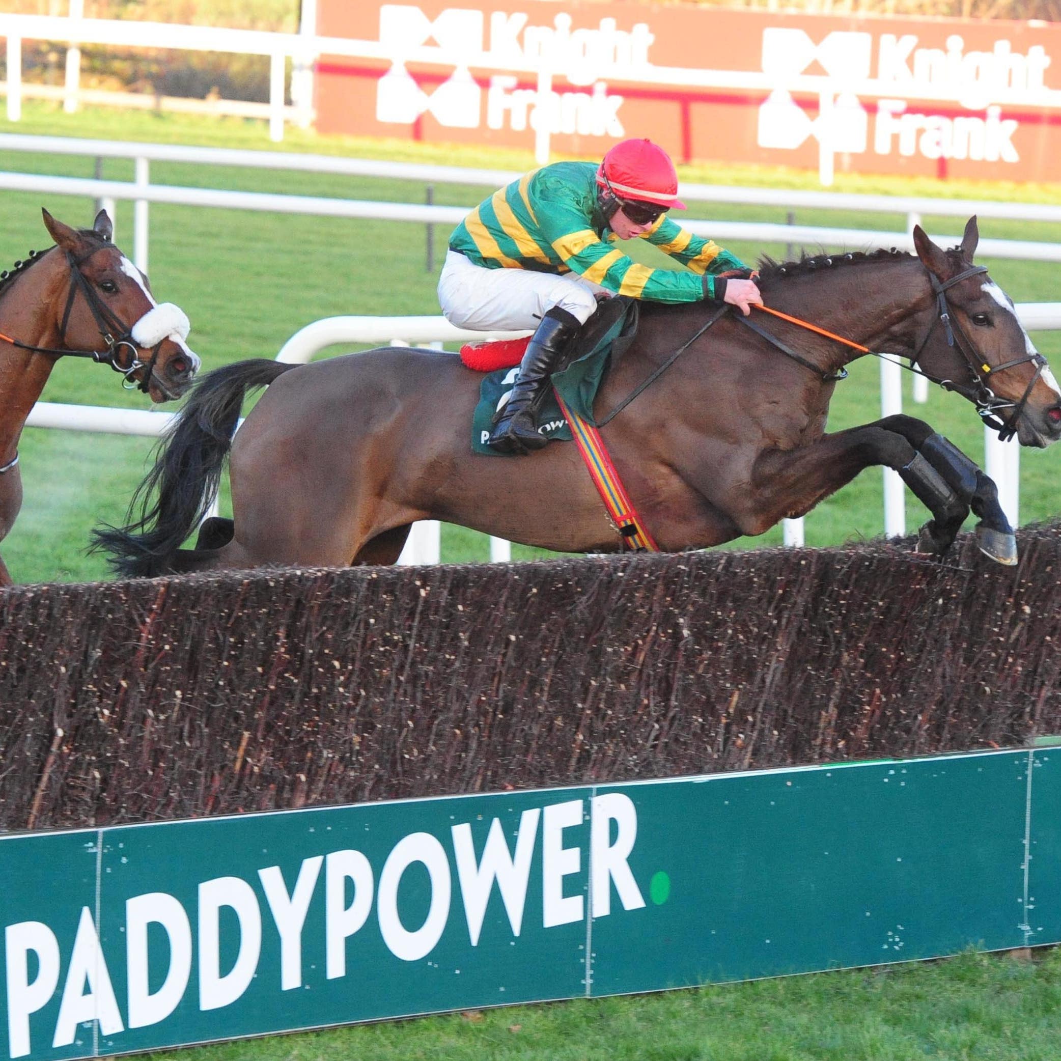 Anibale Fly (right) has options at Newbury and Gowran