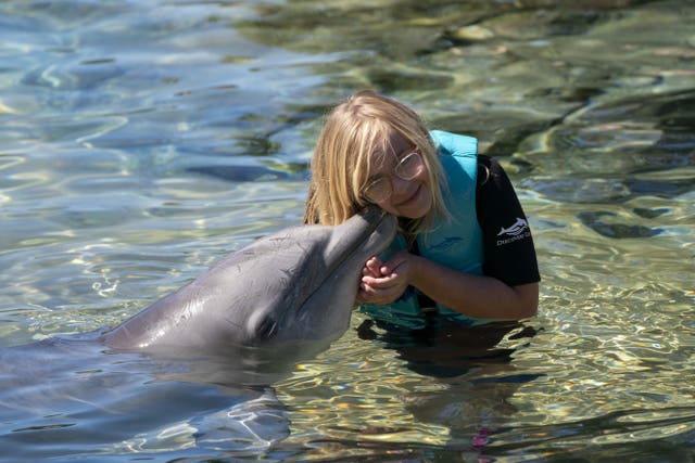 Lily Vincent, 13, swims with a dolphin during the visit