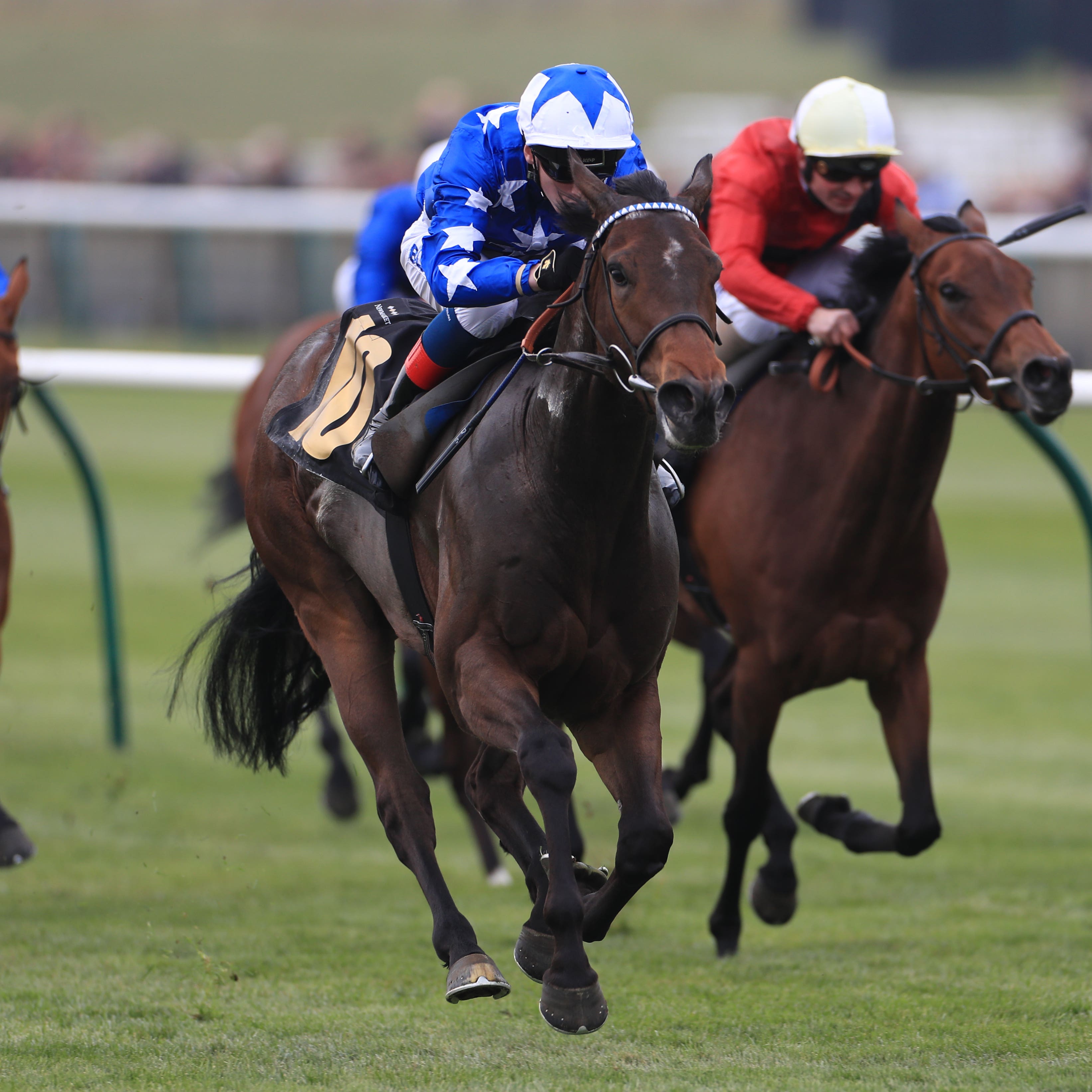 Qabala is heading to Ireland