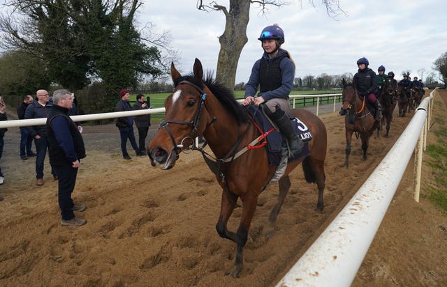 Teahupoo is a leading contenders for the Stayers' Hurdle at Cheltenham 