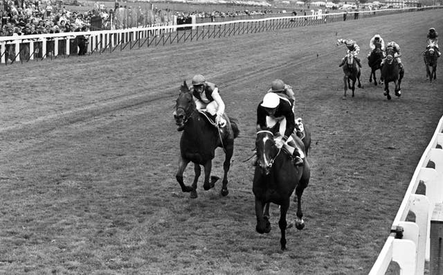 Lester Piggott wins the Doncaster Cup aboard Ardross from Heighlin and Steve Cauthen