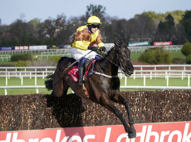 Galopin Des Champs runs for Willie Mullins 