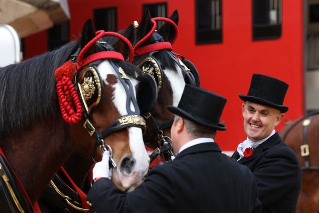 Men hold the shires that will pull the Lord Mayor of the City of London’s state coach