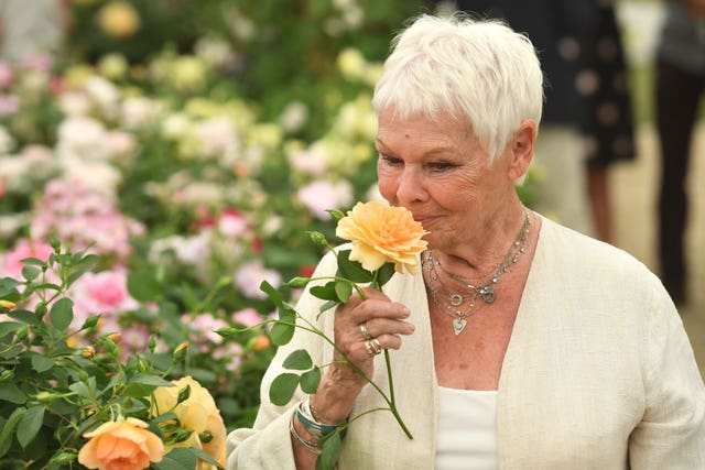  Chelsea Flower Show