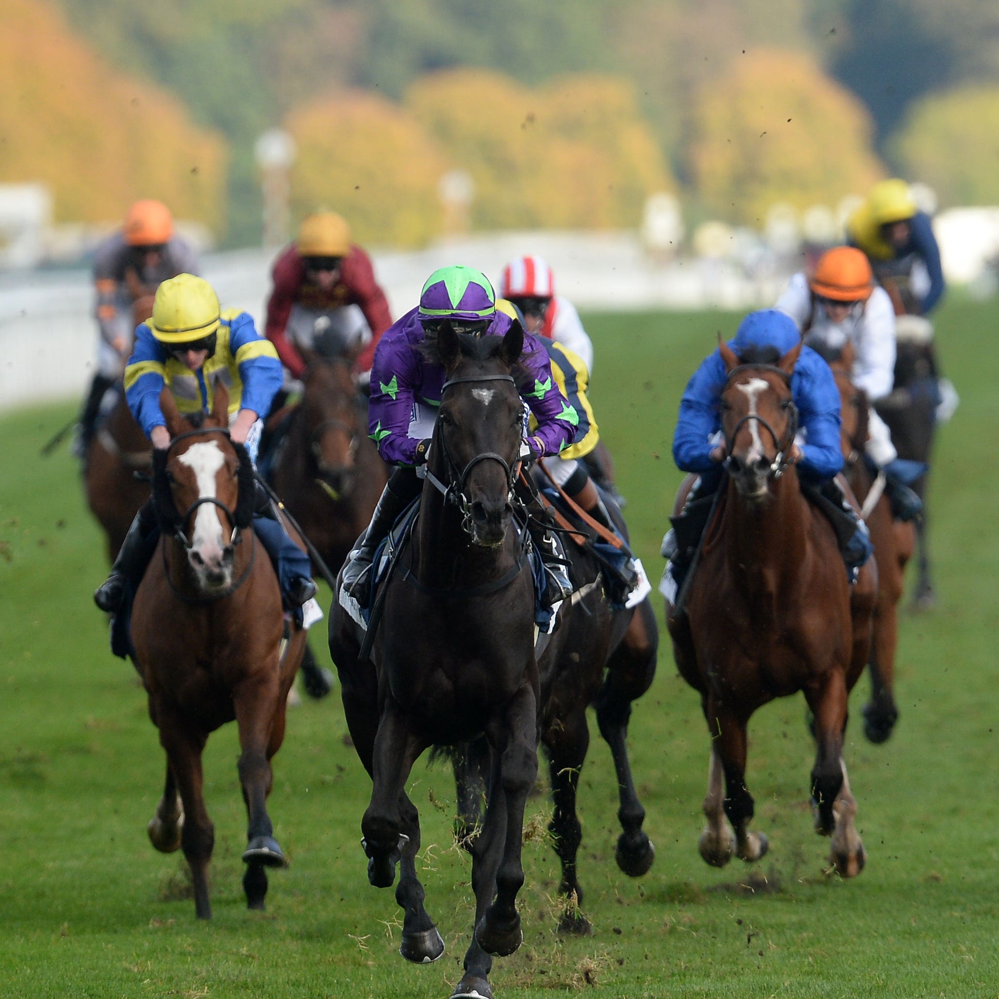 To Be Wild (centre) winning at Doncaster in 2016
