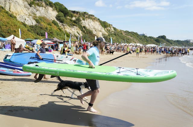 UK Dog Surfing Championships