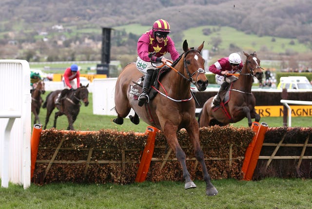 Minella Indo was Blackmore's first Grade One winner when landing the 2019 Albert Bartlett at Cheltenham 
