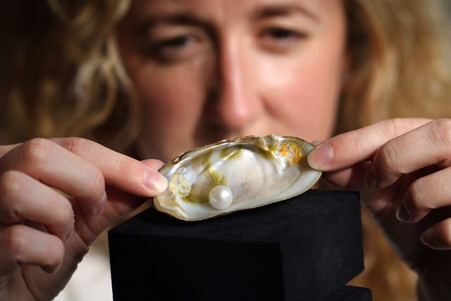 The Abernethy Pearl