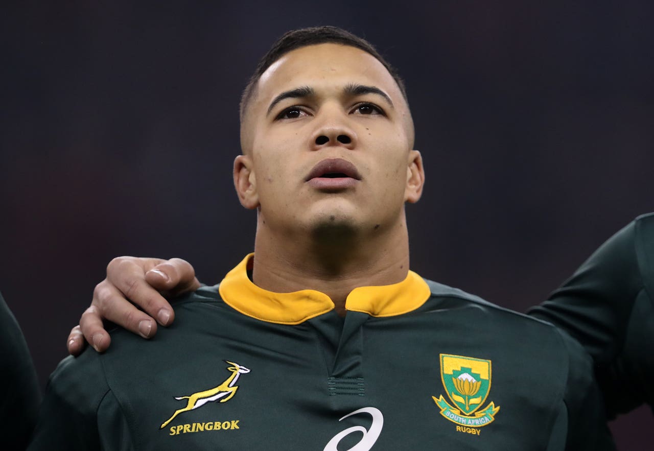 South Africa wing Cheslin Kolbe quells injury fears after New Zealand ...