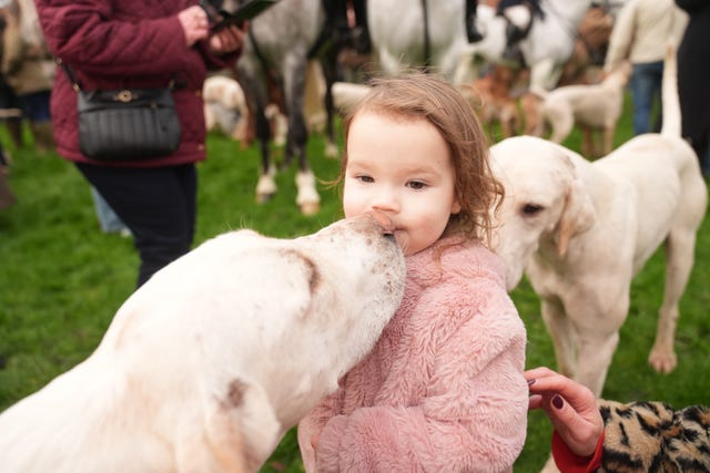 A young girl being licked by a dog 