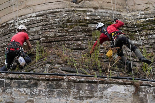 Building restoration specialists abseil down the walls of Warwick Castle during the landmark’s annual external clean