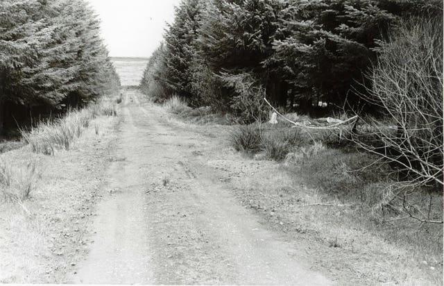 The scene at Ballypatrick Forest in Co Antrim where the body of 18-year-old Inga Maria Hauser was found on April 20 1988