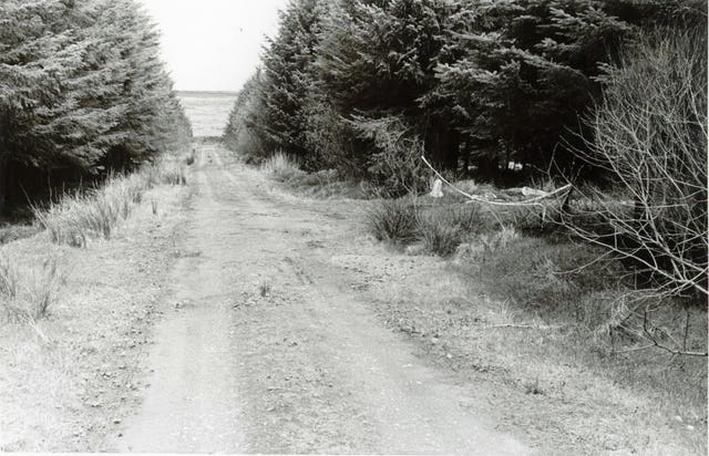 The scene at Ballypatrick Forest where the body of Inga Maria Hauser was found in 1988 (PSNI/PA)