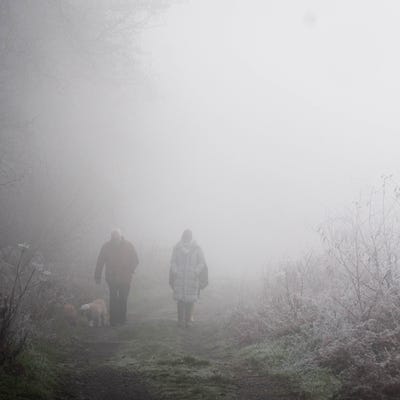Yellow fog warning in place across parts of England and Wales