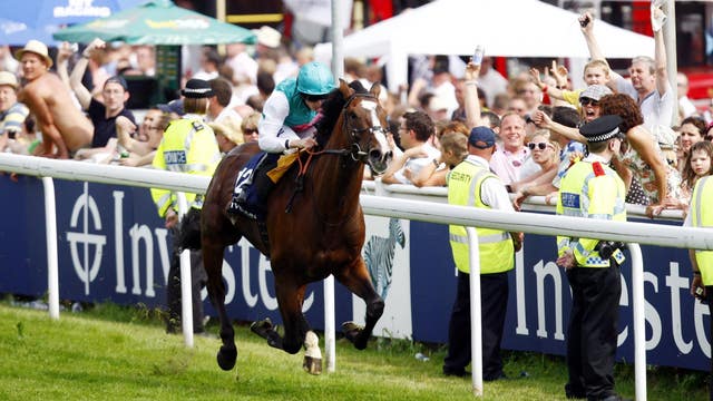 Workforce, winner of the Derby and Prix de l'Arc de Triomphe in 2010