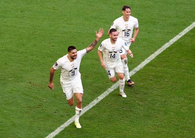 Aleksandar Mitrovic celebrates scoring against Cameroon