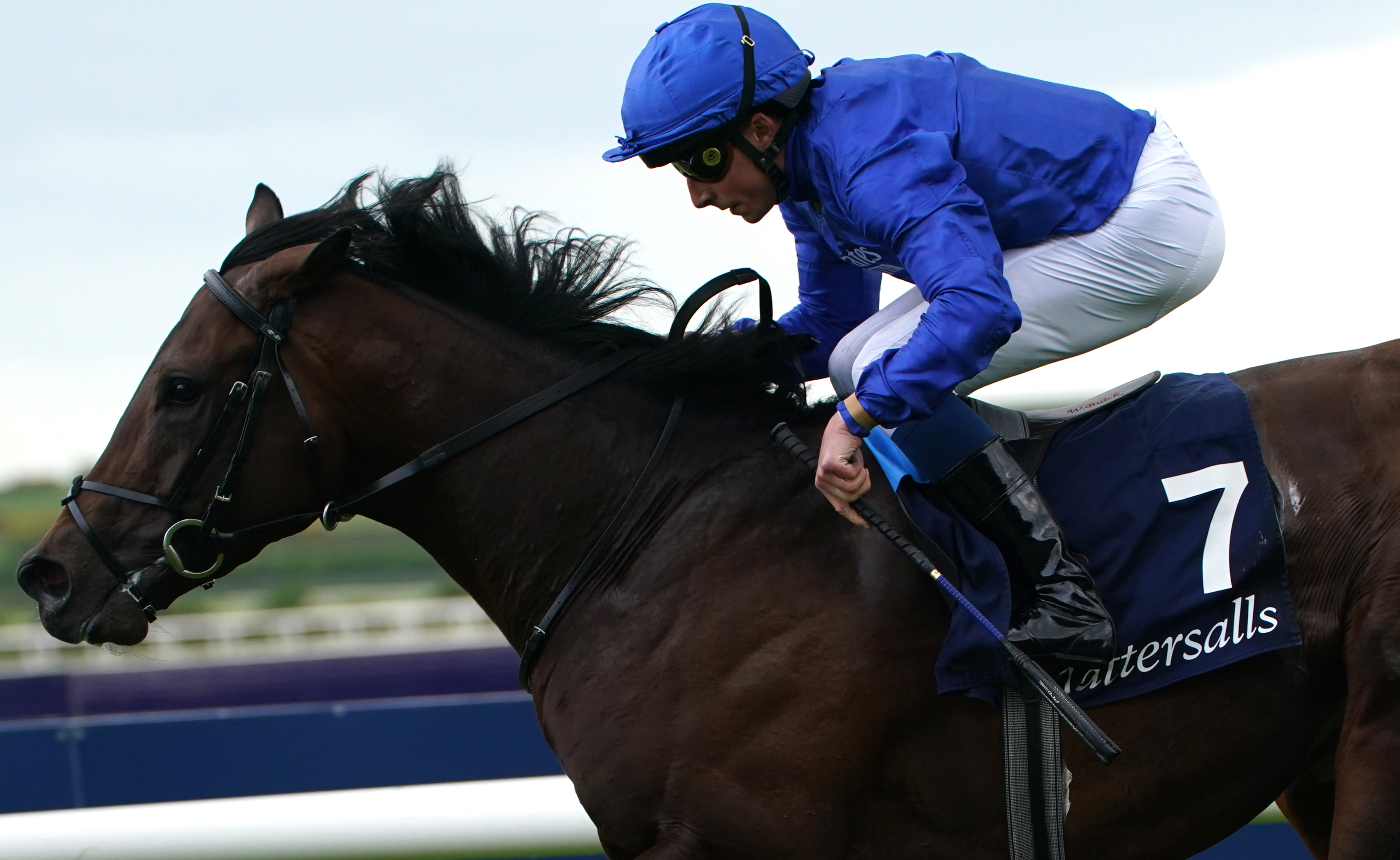 Native Trail winning the Irish 2,000 Guineas