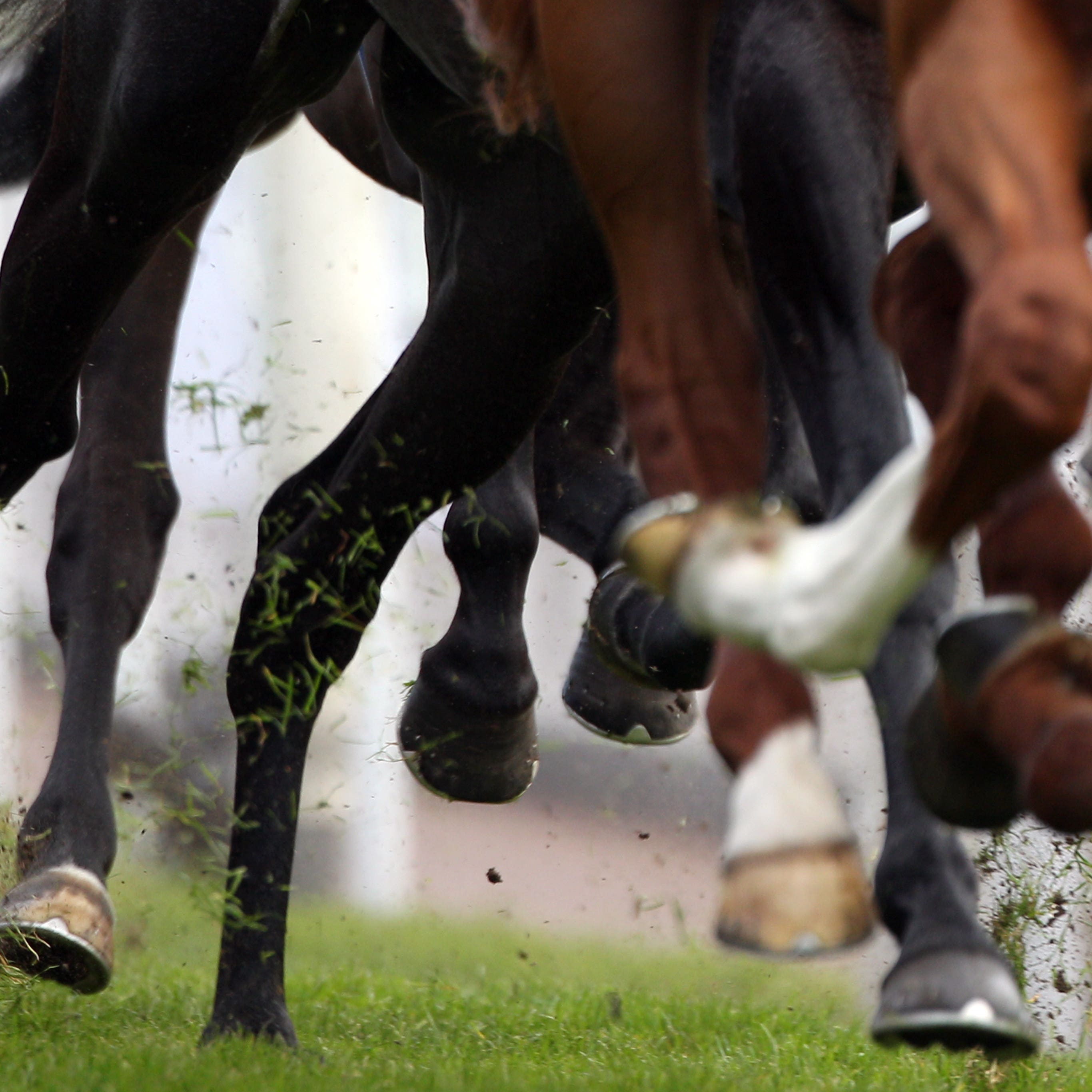 Darren Weir faces a lengthy ban