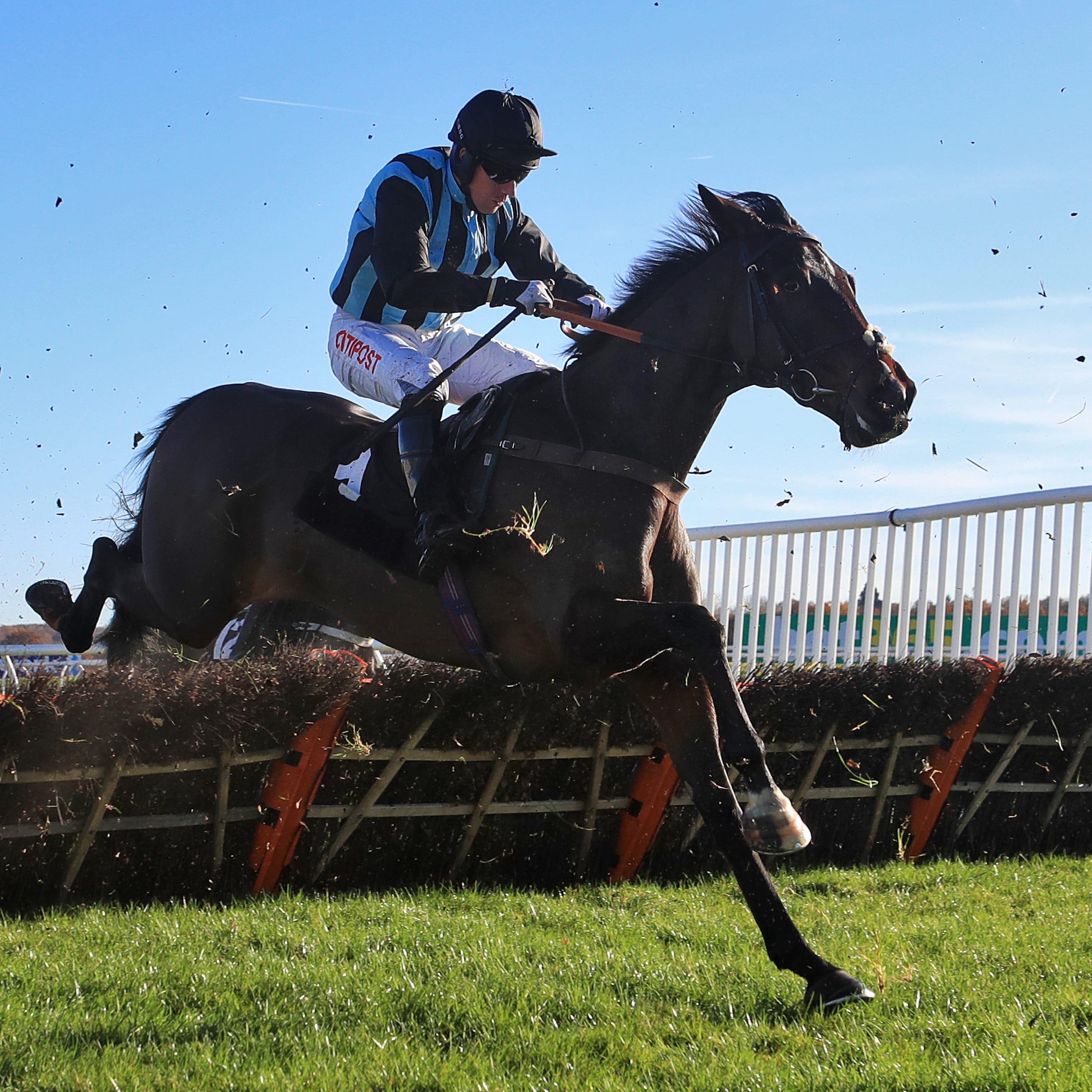 Bags Groove will leads Harry Fry's team at Aintree