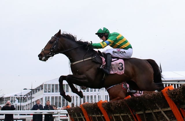 Brazil and Mark Walsh in action at Cheltenham 