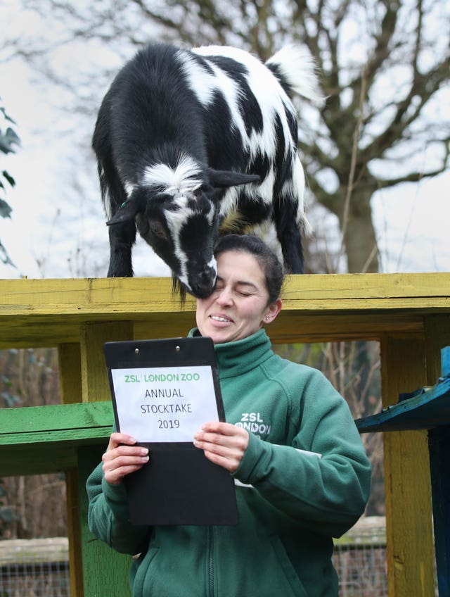 ZSL London Zoo annual stocktake