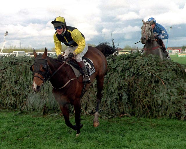 Earth Summit and Carl Llewellyn won the National in 1998