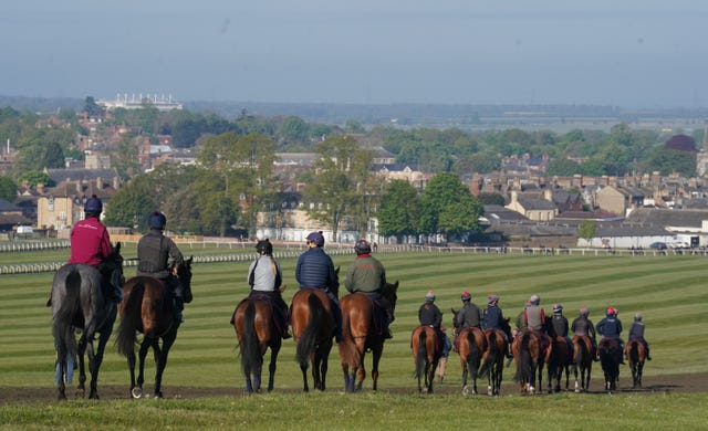 Horantzau d'Airy is being prepared for Grand National action in Newmarket