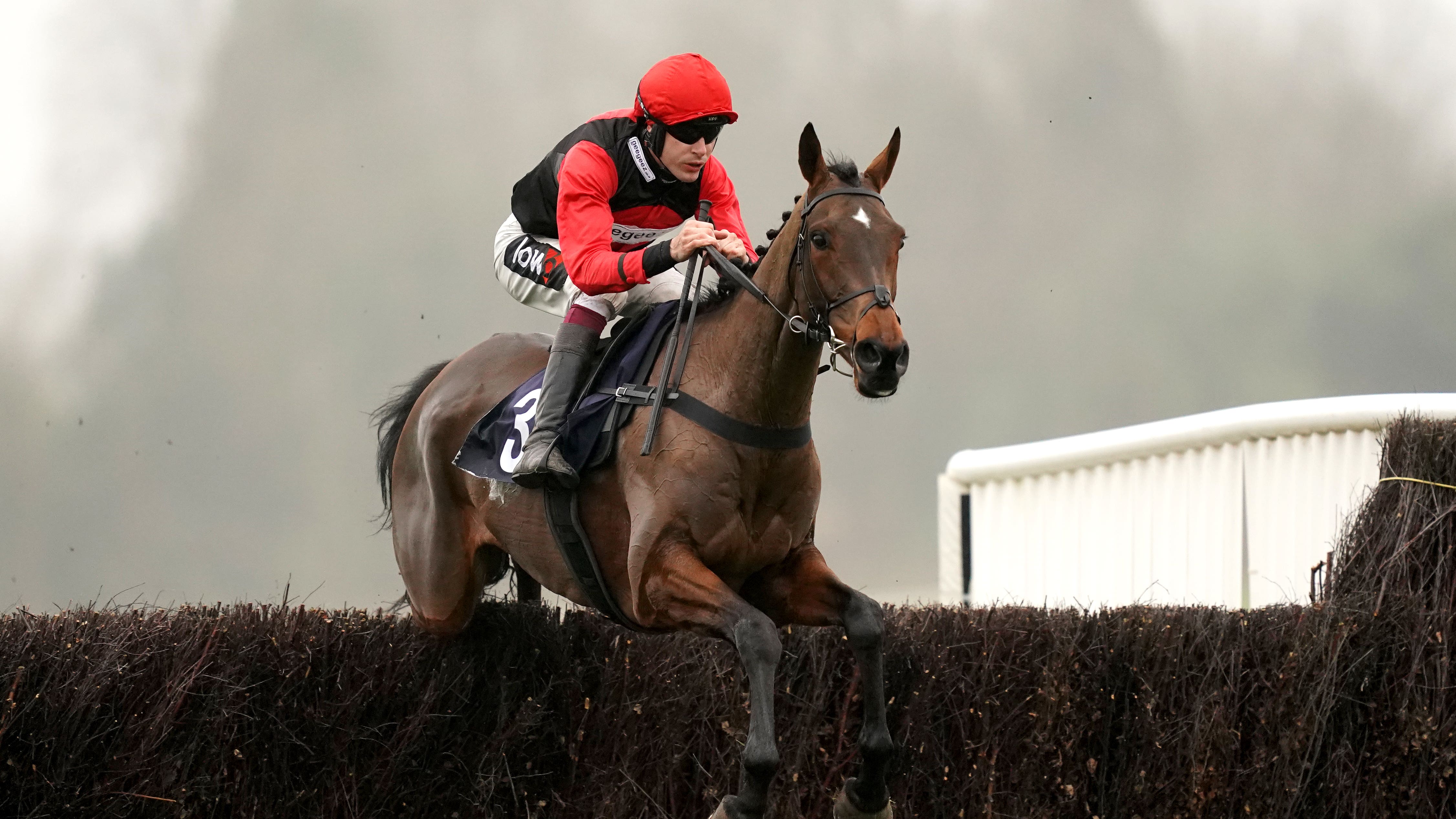Non Runners In Grand National Non Runners In Grand National
