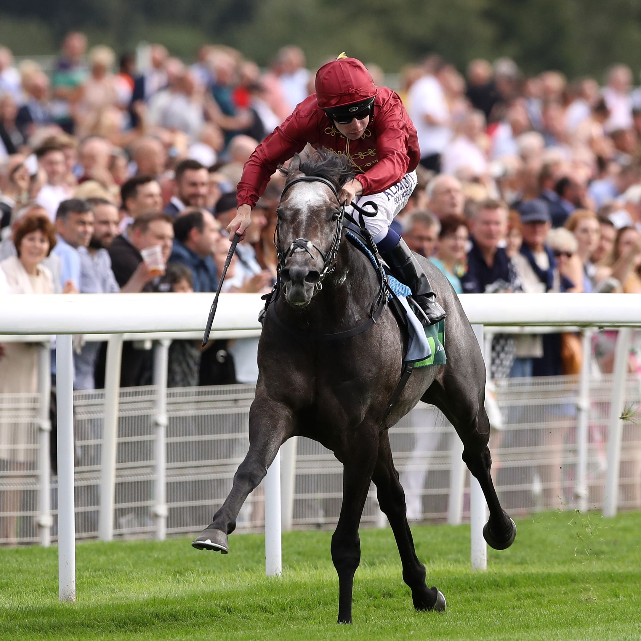 Juddmonte International Day – Yorkshire Ebor Festival – York Racecourse