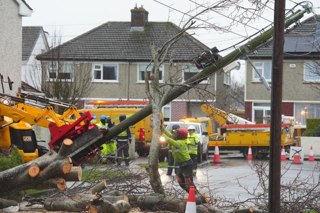 Workers clearing a fallen tree in Dublin following Storm Eowyn