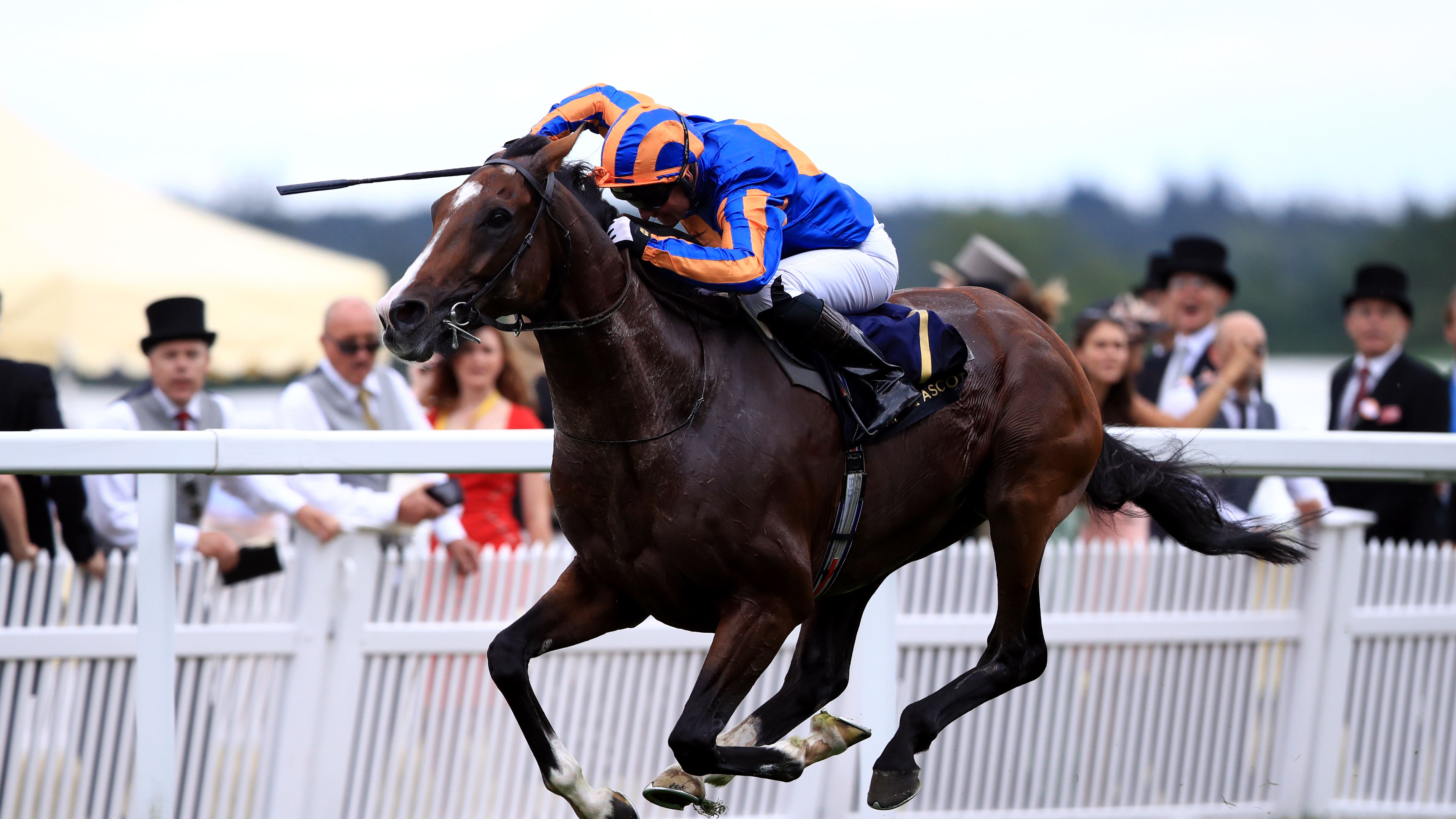 Hardwicke stakes betting odds Hardwicke stakes betting odds best arbitrage bot crypto