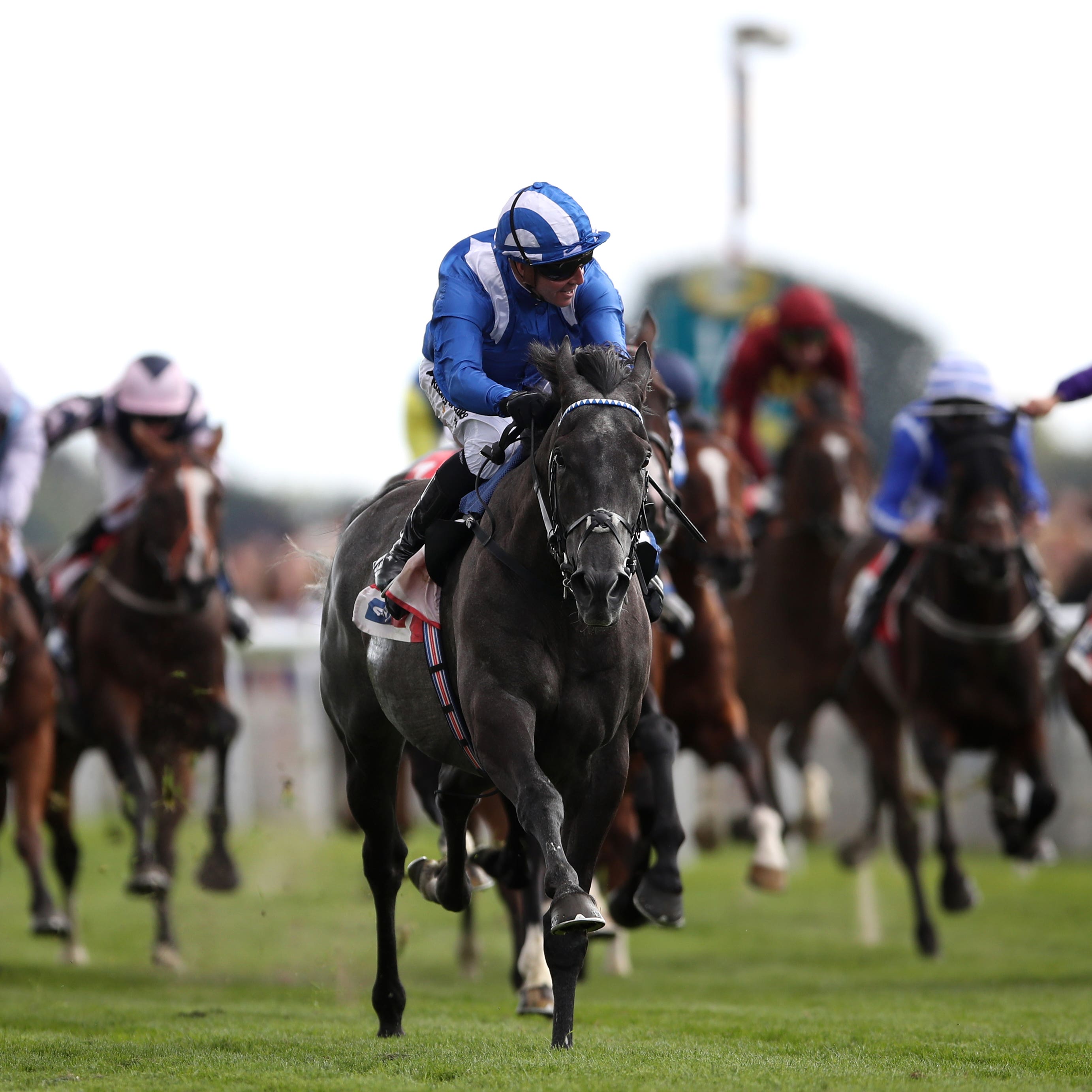 Muntahaa seen winning the Ebor will bid to follow it up in the Lexus Melbourne Cup