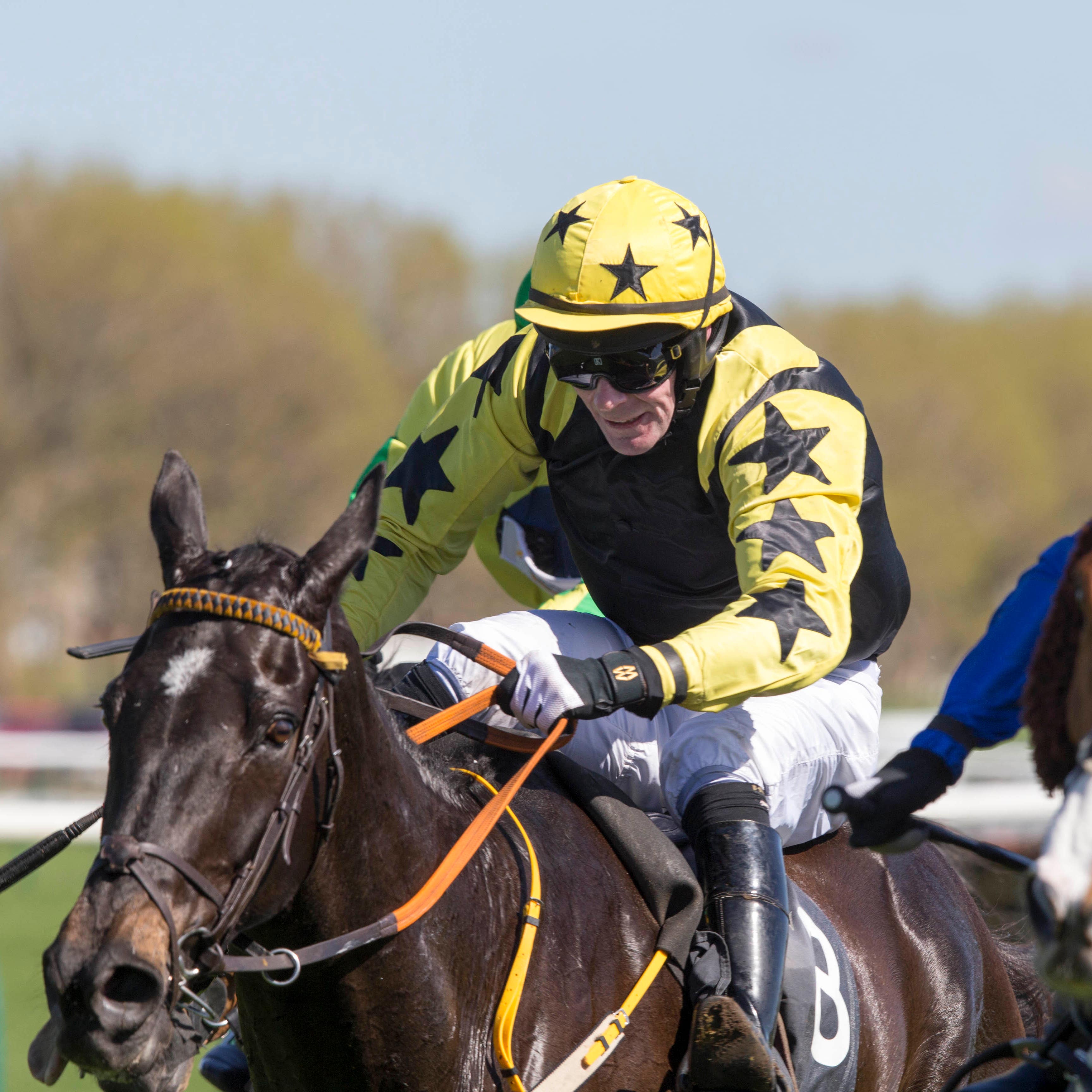 Crosshue Boy winning at Ayr last year