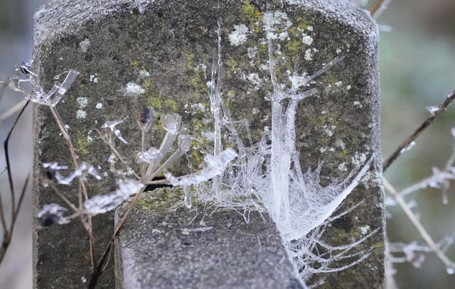 Frozen spiderwebs and twigs in Athy, County Kildare