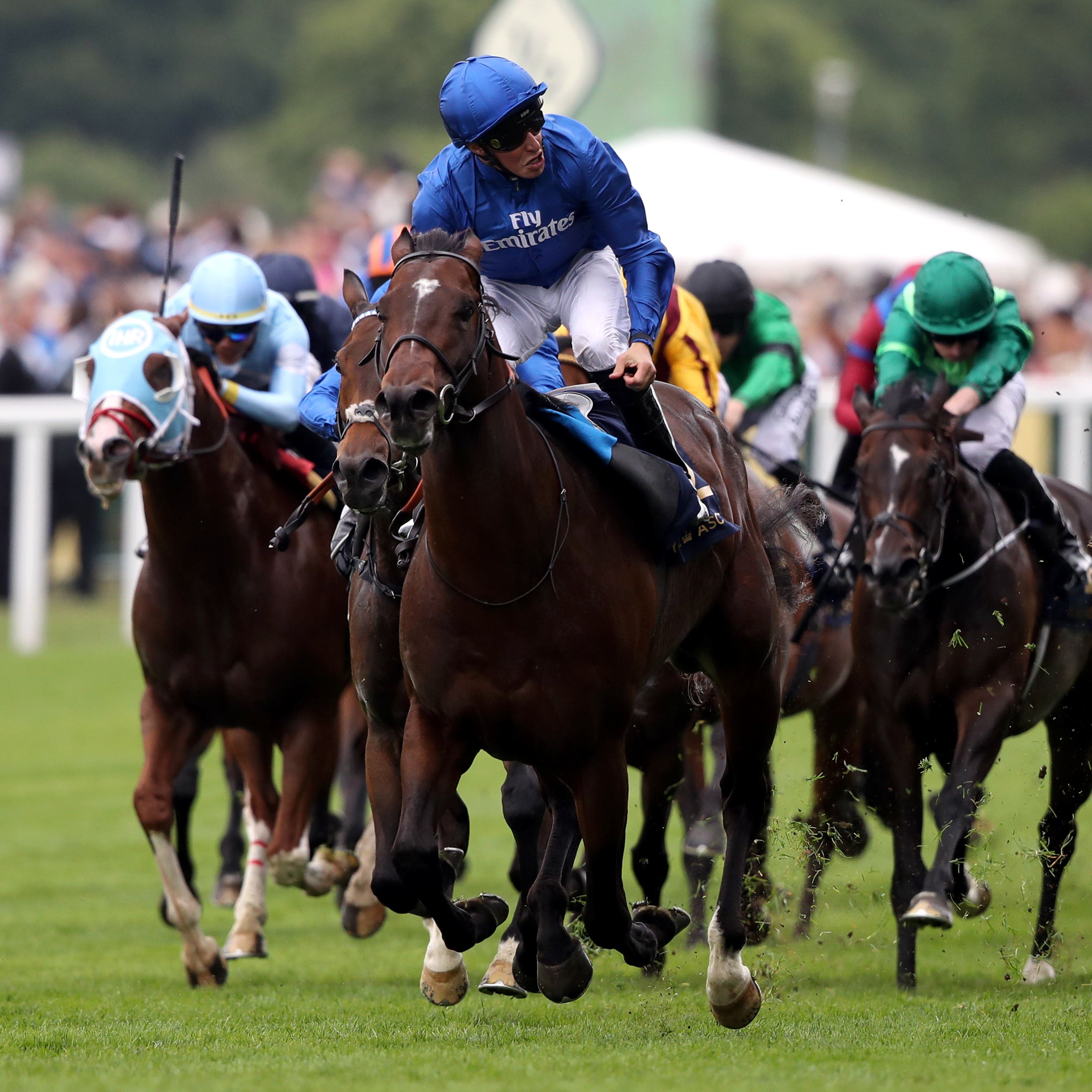 Blue Point comes home clear in last year's King's Stand