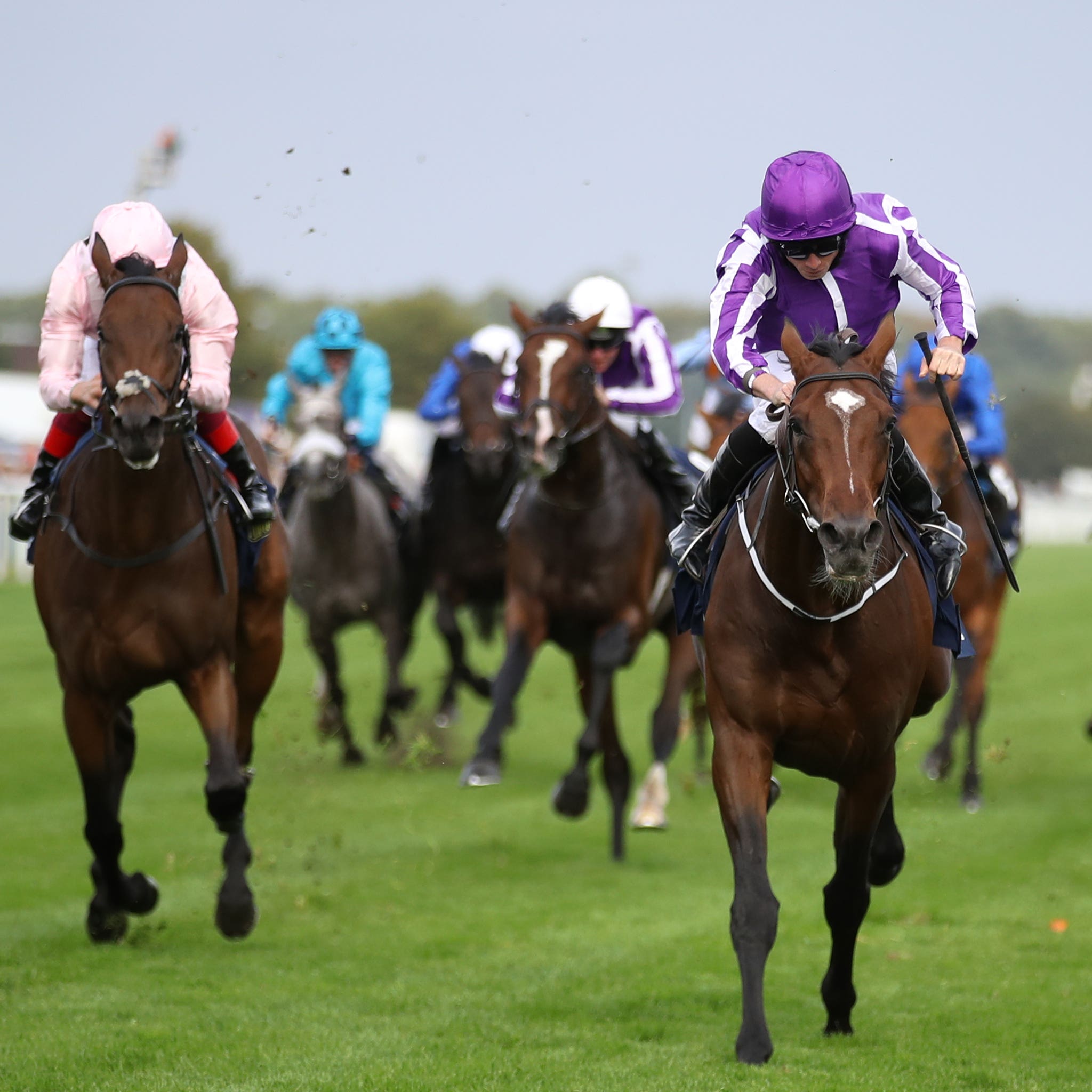 Kew Gardens and Lah Ti Dar are set for a rematch at Epsom