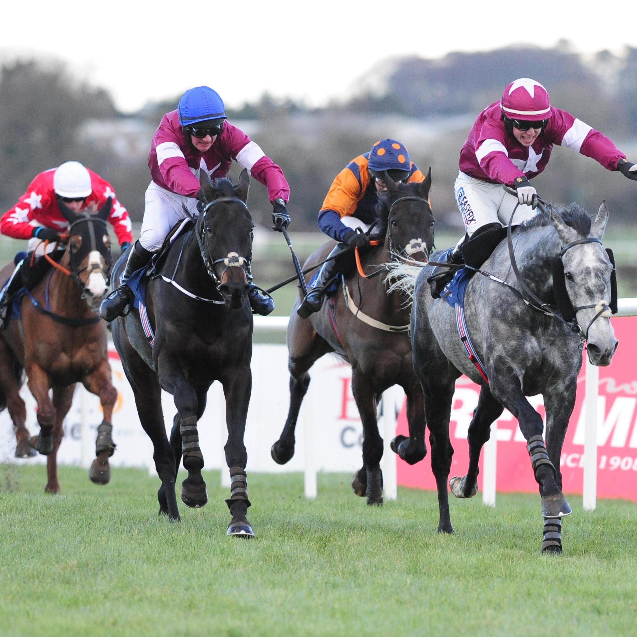 Racing at Naas last weekend