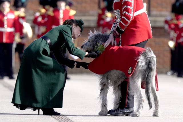 The Princess of Wales presents Irish wolf hound Turlough Mor’ (aka Seamus) the regimental mascot, with a sprig of shamrock