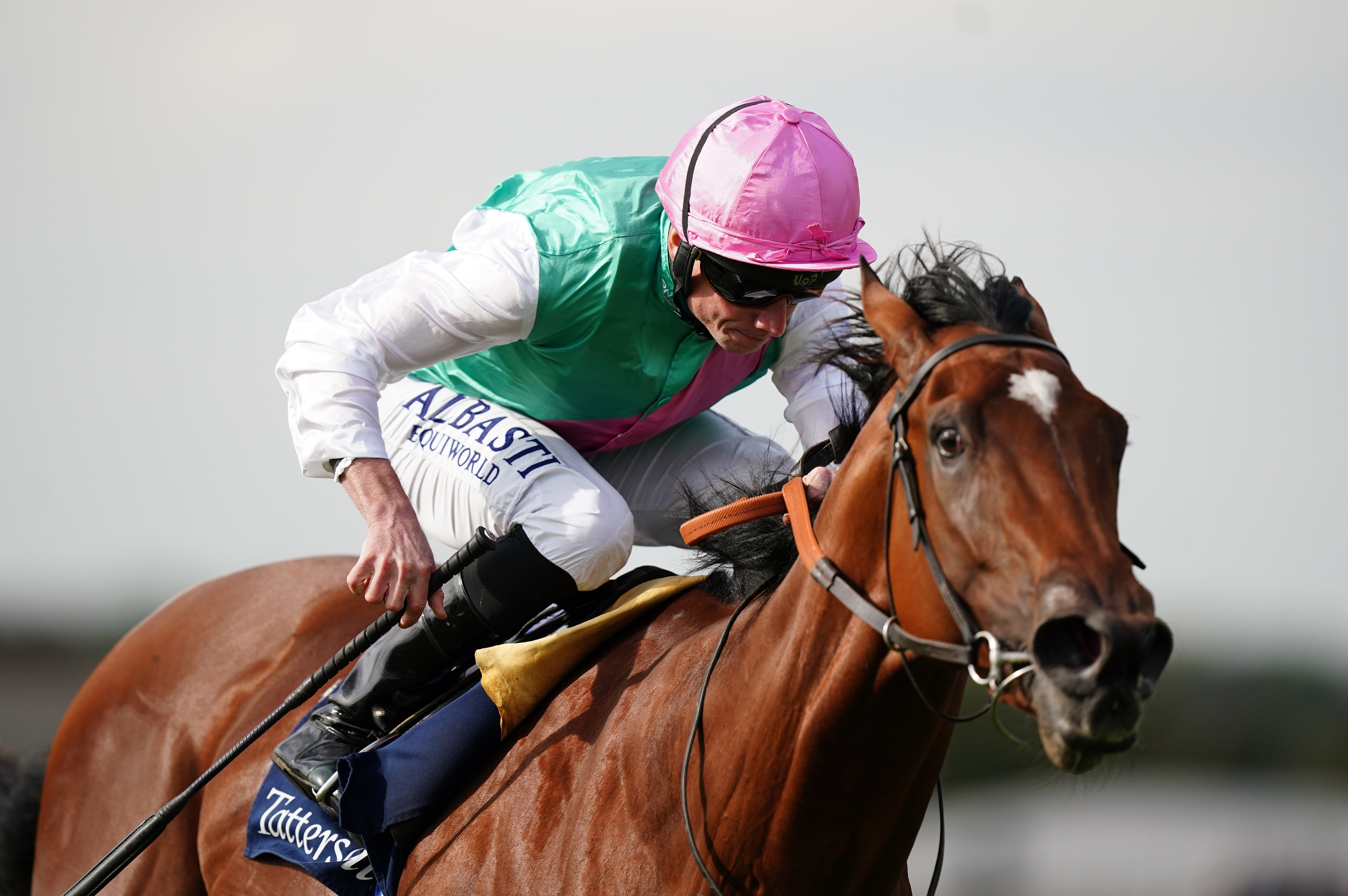 Nostrum could return at Newmarket's July Festival